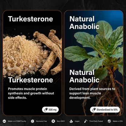 CARENEST™ - TURKESTERONE NATURAL ANABOLIC SUPPORT